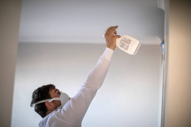 Best Commercial Mold Removal  in South Pekin, IL