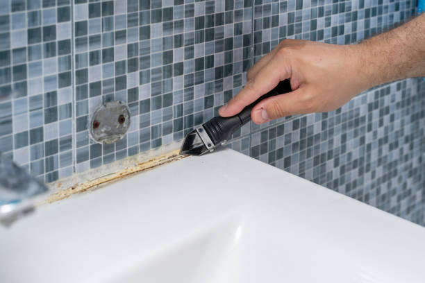 Best Emergency Mold Removal  in South Pekin, IL