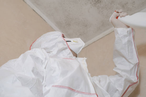 Best Residential Mold Removal  in South Pekin, IL
