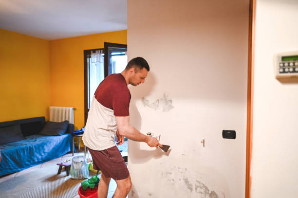 Best Toxic Mold Removal  in South Pekin, IL